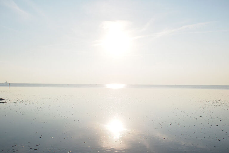 Schleswig-Holstein-Friedrichskoog-Watt