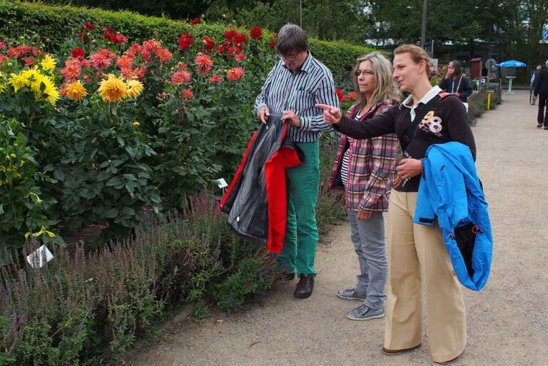 Hamburg-Altona-Altonaer-Volkspark-Dahliengarten-ich-Erklärung